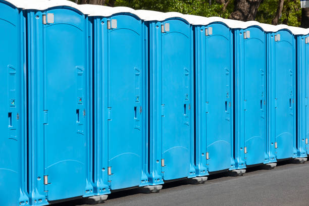 Professional Portable Potty Rental  in Carson, WA